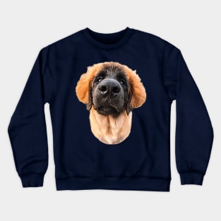 Leonberger Adorable Puppy Dog Crewneck Sweatshirt